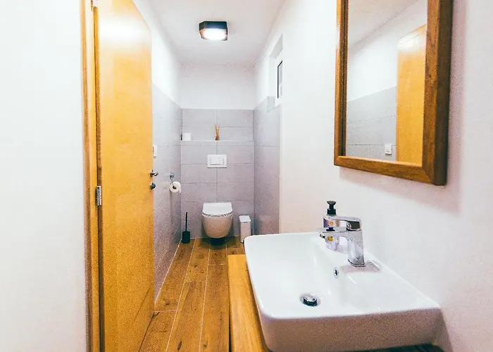 House Vinaria Apartment Zgornja Loznica